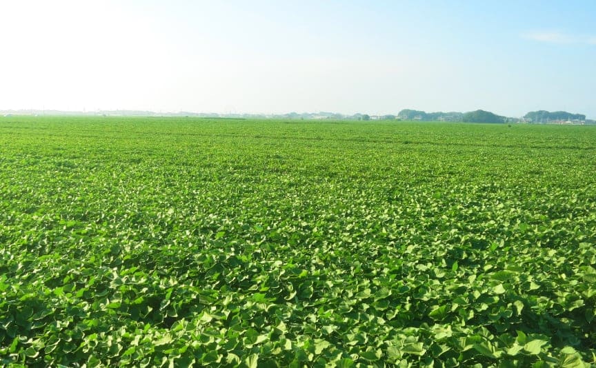 有機肥料の可能性を追求し日本の農業を元気に