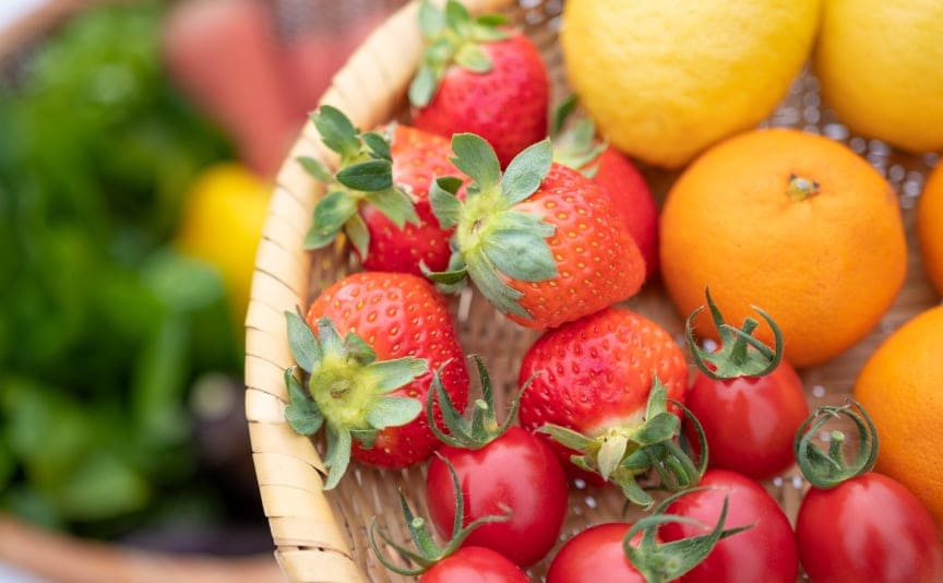 「農」を知り伝えていくこと