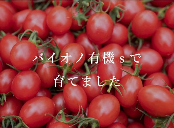農産品の栽培と販売